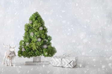 Similar image 21149482