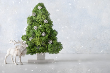 Similar image 21149484