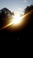 Similar image 21154022