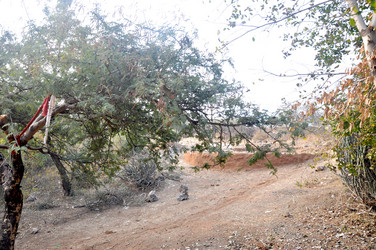 Similar image 21154024