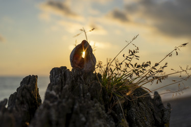 Similar image 21148704