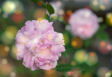 Similar image 21148739