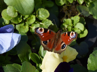 Similar image 21148235