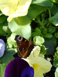 Similar image 21148236