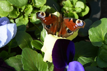 Similar image 21148237