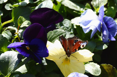 Similar image 21148238