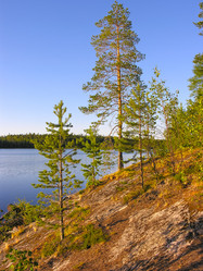 Similar image 21148408