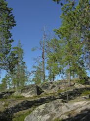 Similar image 21148411