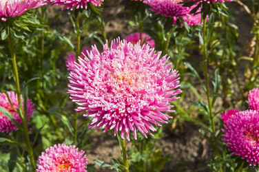 Similar image 21148416