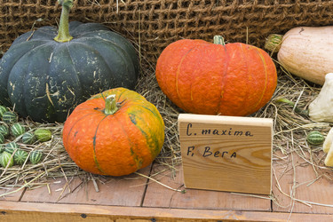 Similar image 21148460