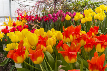 Similar image 21148461