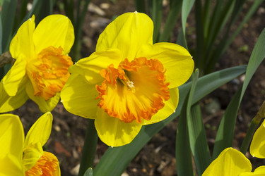 Similar image 21148462