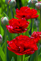 Similar image 21148464