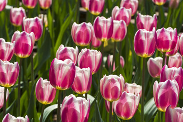 Similar image 21148465