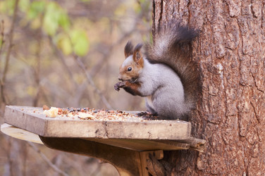 Similar image 21154597