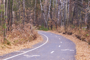 Similar image 21154598