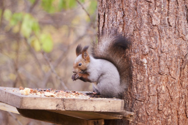 Similar image 21154599