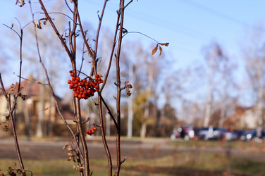 Similar image 21154601