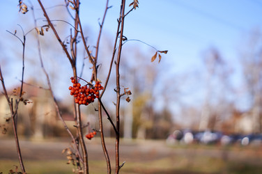 Similar image 21154602