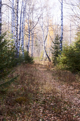 Similar image 21154605