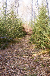 Similar image 21154606