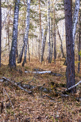 Similar image 21154607