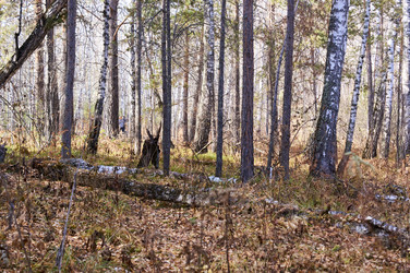 Similar image 21154608