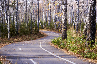 Similar image 21154609