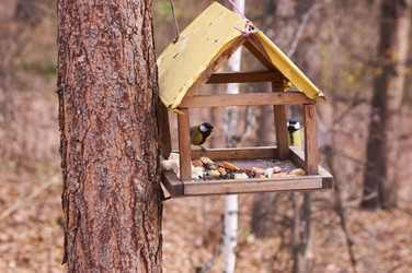 Similar image 21154610