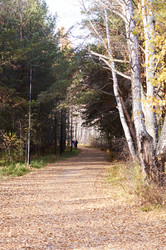 Similar image 21154612