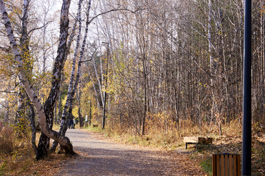 Similar image 21154614