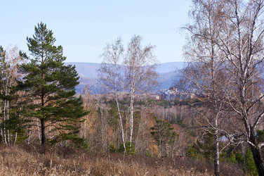 Similar image 21154616