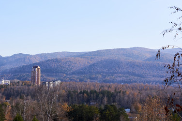 Similar image 21154617