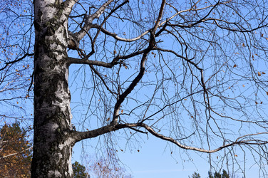 Similar image 21154618