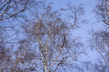 Similar image 21154620