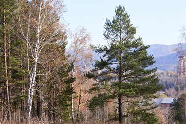 Similar image 21154621