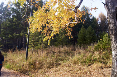 Similar image 21154622