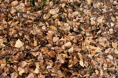 Similar image 21154623