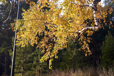 Similar image 21154624