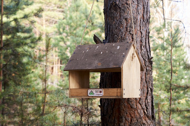 Similar image 21154625