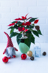 Similar image 21161490