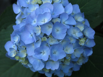 Similar image 21155031