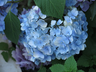 Similar image 21155033