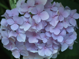 Similar image 21155034