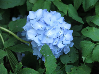 Similar image 21155035