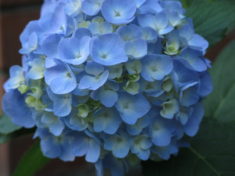 Similar image 21155037