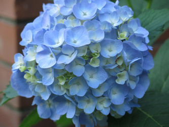 Similar image 21155038