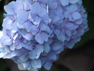 Similar image 21155039