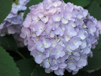 Similar image 21156925