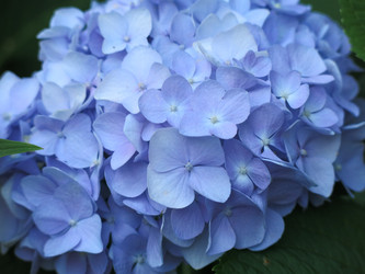 Similar image 21156926